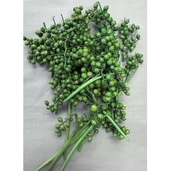 Canella Berries Green (6oz.)
